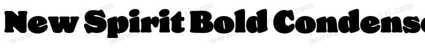 New Spirit Bold Condensed字体转换